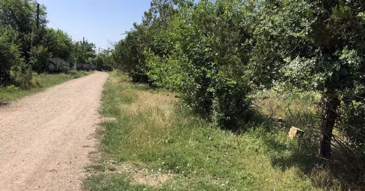 Teren investiție 9795 mp în Rădoiești