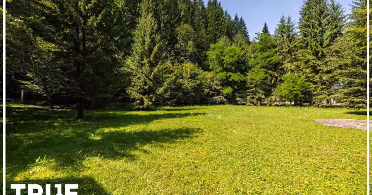 Cabană 160m? utili, teren 2253m?, Salard, Mureș!