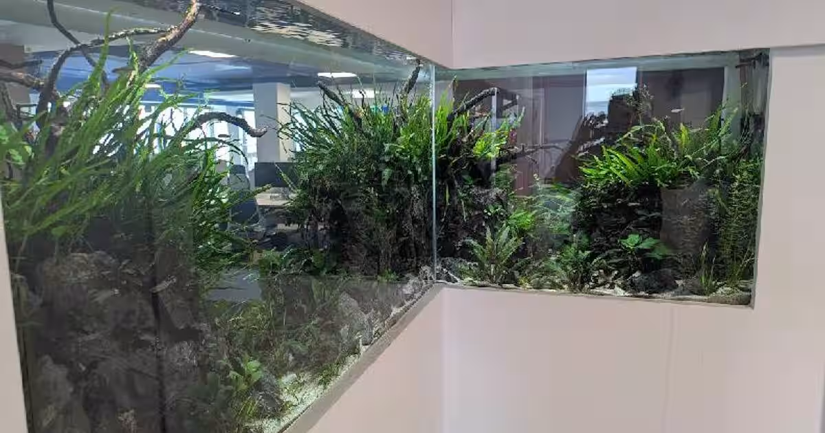 Birou 691 mp în zona Central, Cluj-Napoca