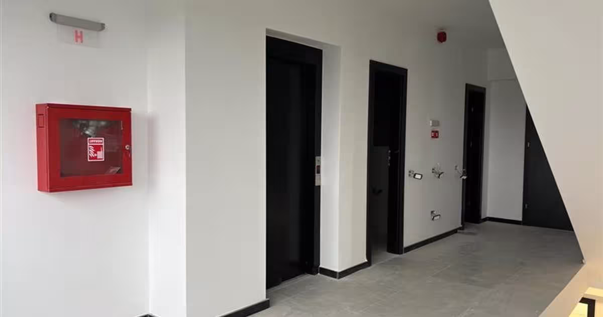 Birou în zona Nord-Est, Voluntari