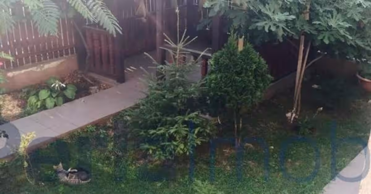 Casă 230 mp cu 5 camere în zona Exterior Est, Ovidiu