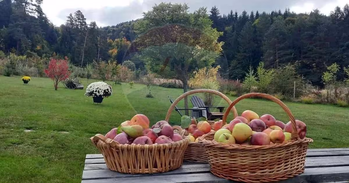 Casă cu 2 camere în Tărlungeni