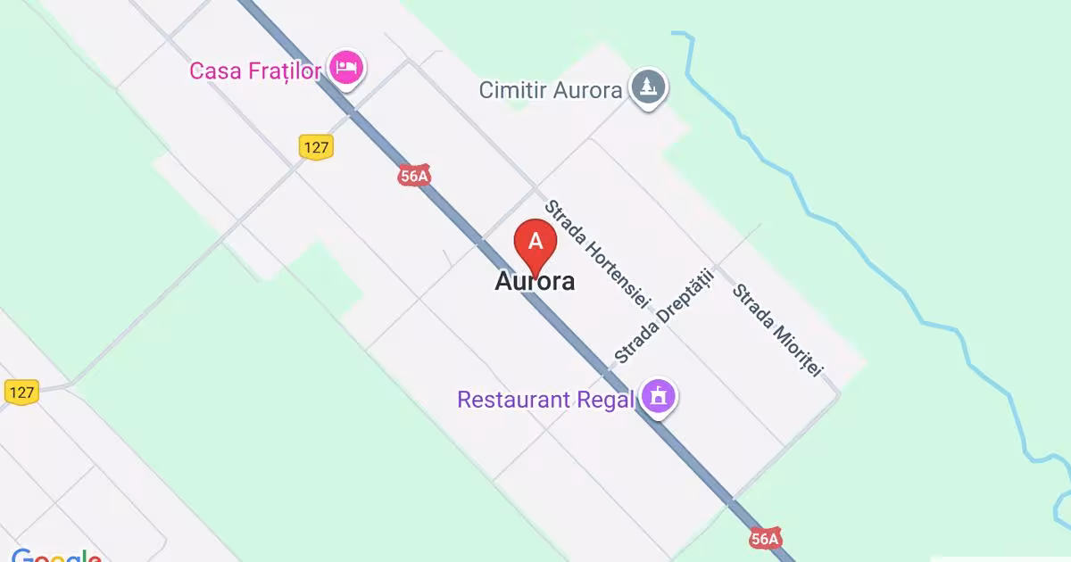 Casă 3,000 mp cu 5 camere în Aurora