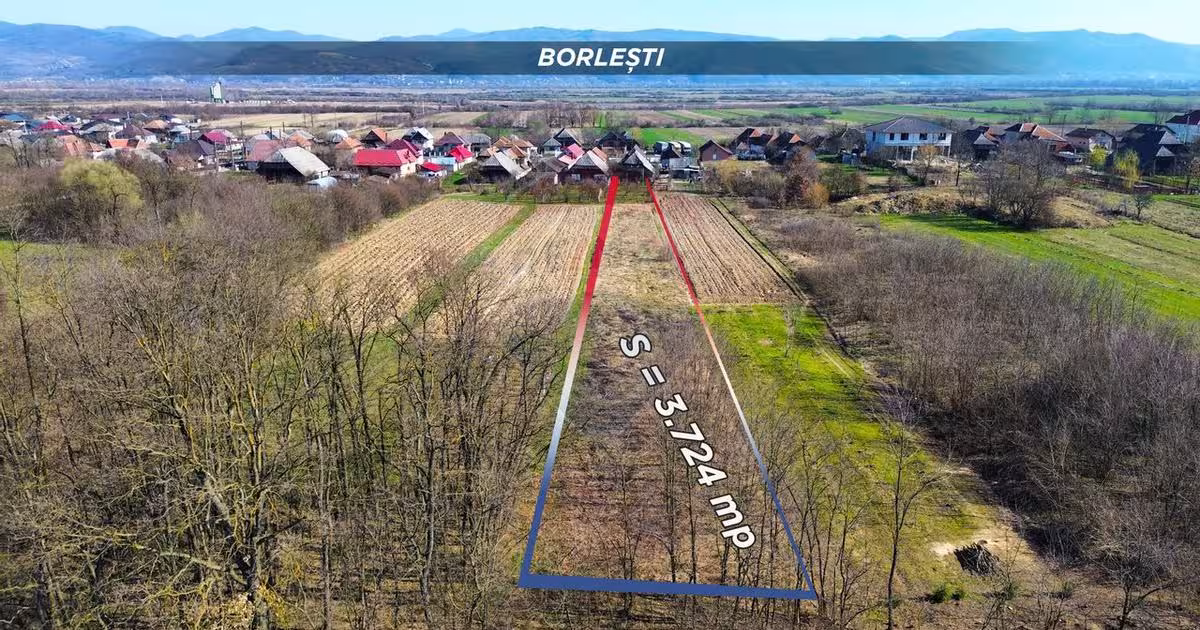Casă cu 3 camere în Borlești