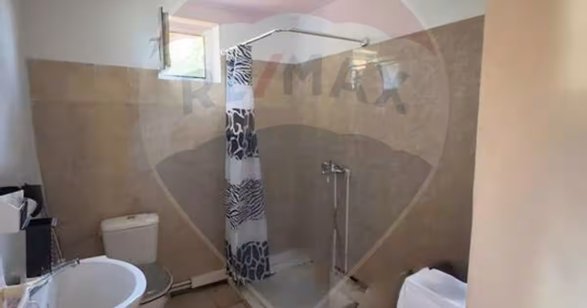 Casă / Vilă cu 5 camere de vânzare în zona Romanesti