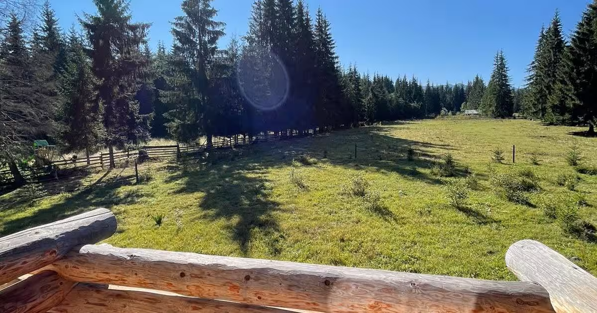 Casă 270 mp cu 8 camere în Dorna Candrenilor