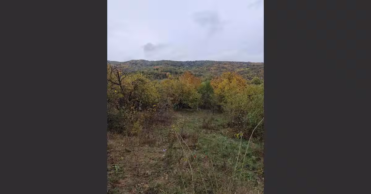 Casă 80 mp cu 3 camere în Drajna de Jos