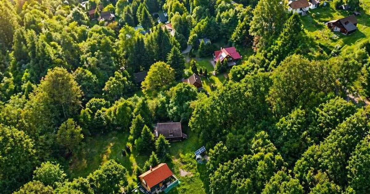 Casa/ Cabana+2.000 mp teren in miracolul naturii autentice,Bucin(Praid), Harghit