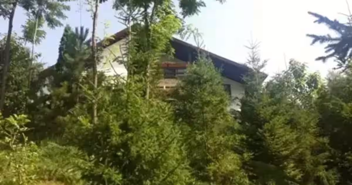Casă 270 mp cu 6 camere în Provița de Jos
