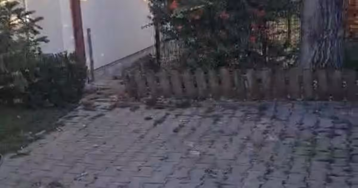 Casă 250 mp cu 6 camere în Voluntari