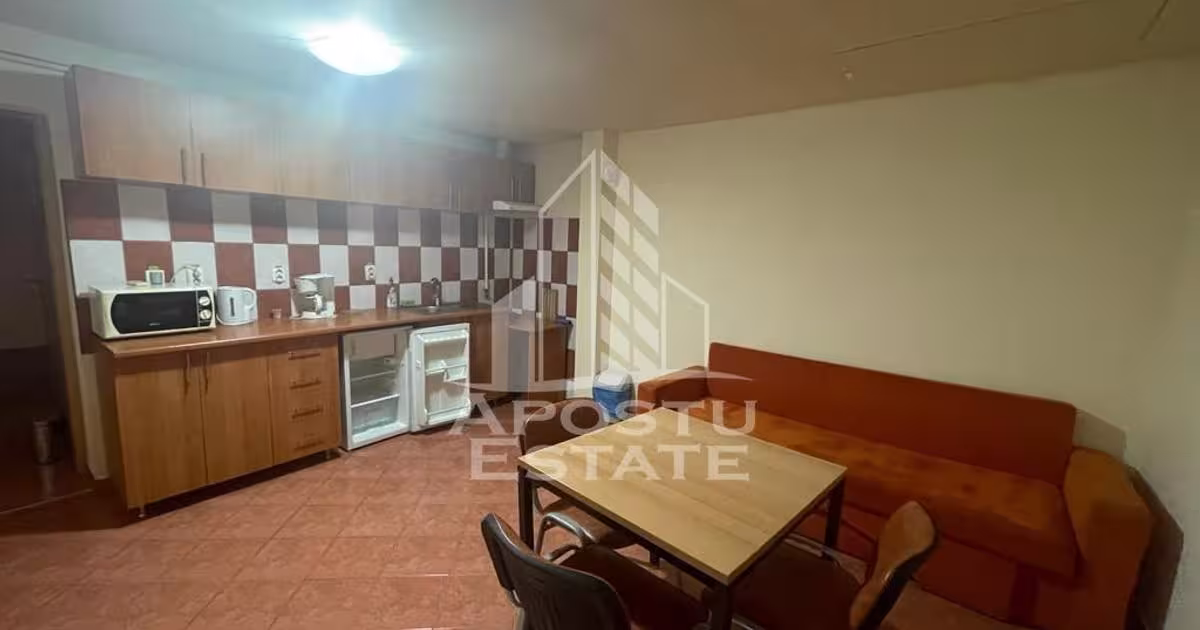 Casă individuală cu 16 camere în zona Șagului, Timișoara