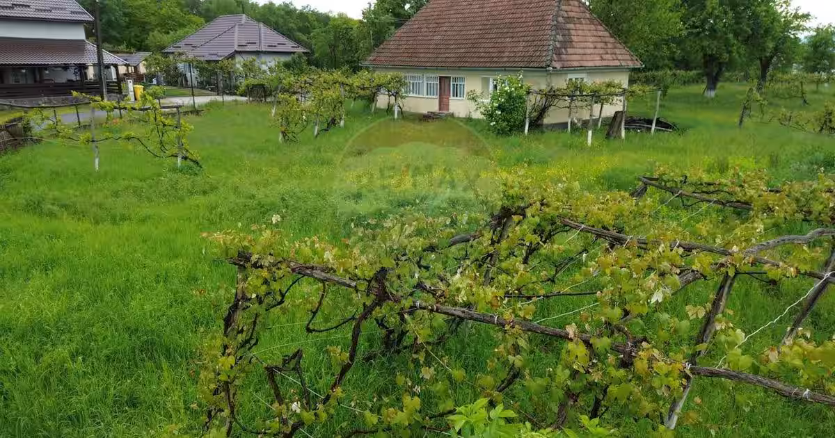 Casă individuală 85 mp cu 3 camere în Arieșu de Pădure