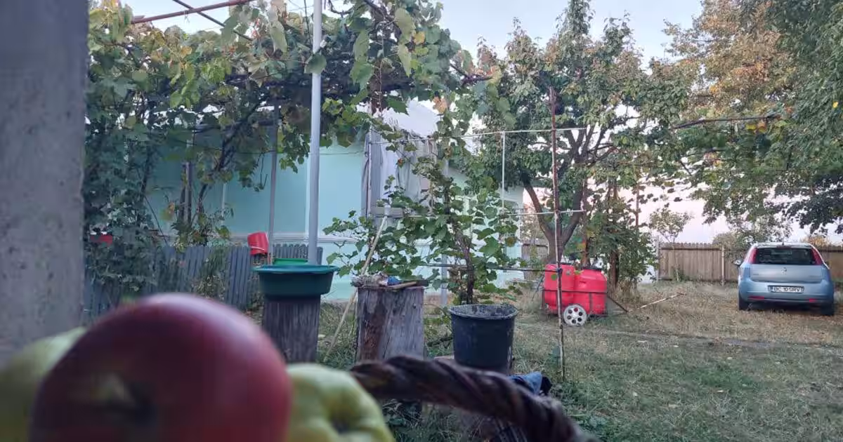 Casă individuală 40 mp cu 2 camere în Bahna