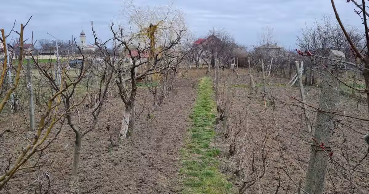Casă individuală 120 mp cu 4 camere în zona Central, Botoșani