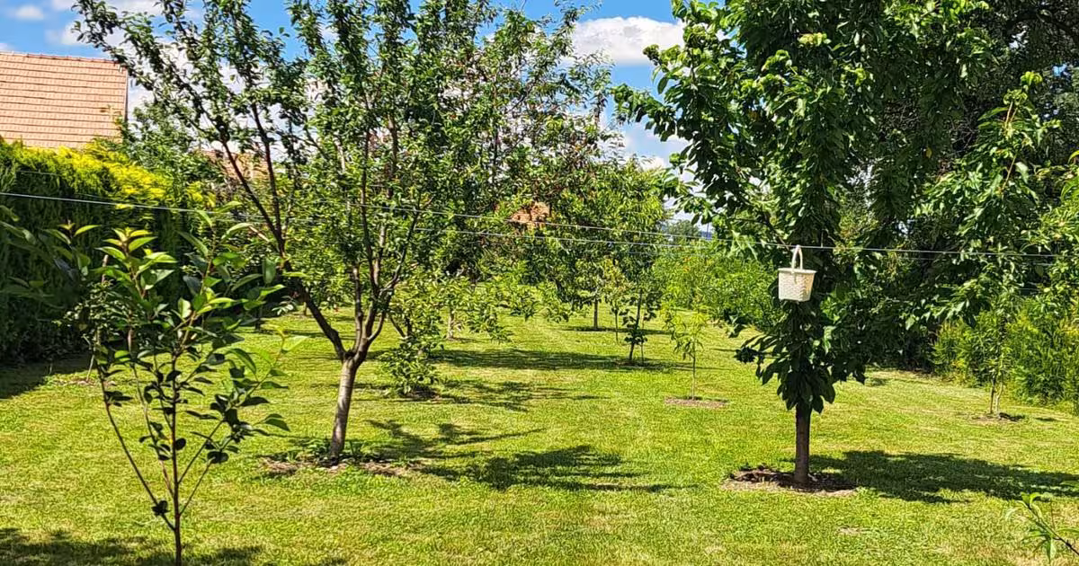 Casă individuală 140 mp cu 4 camere în Cârțișoara