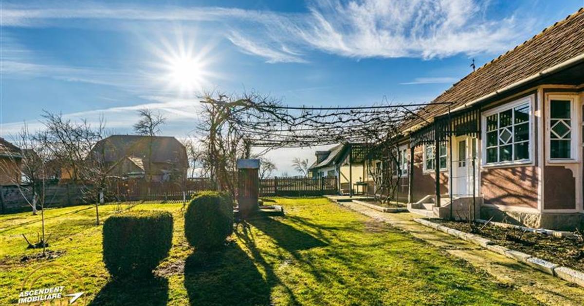 FILM! Casa traditionala, pe domeniu pretios, de 7.608 mp, Cernat, Covasna