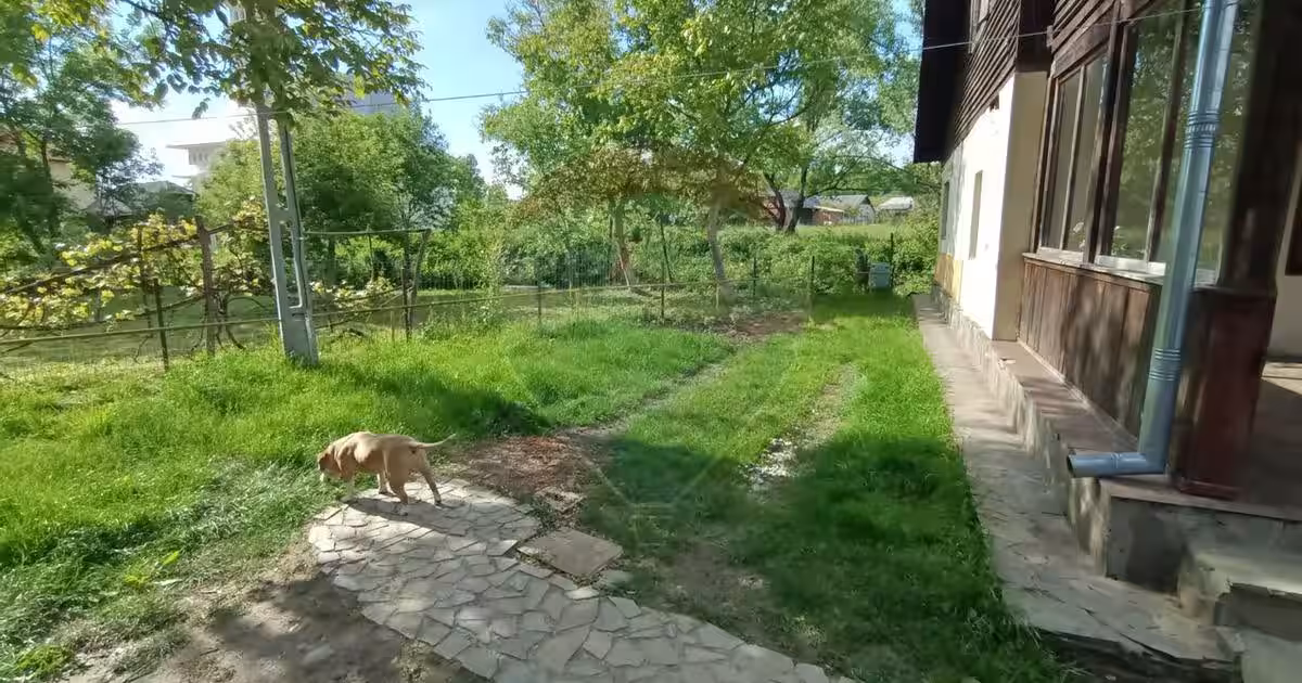 Casă de vânzare în stil vechi cu 3 camere si 3 arii în Cop. Manastur