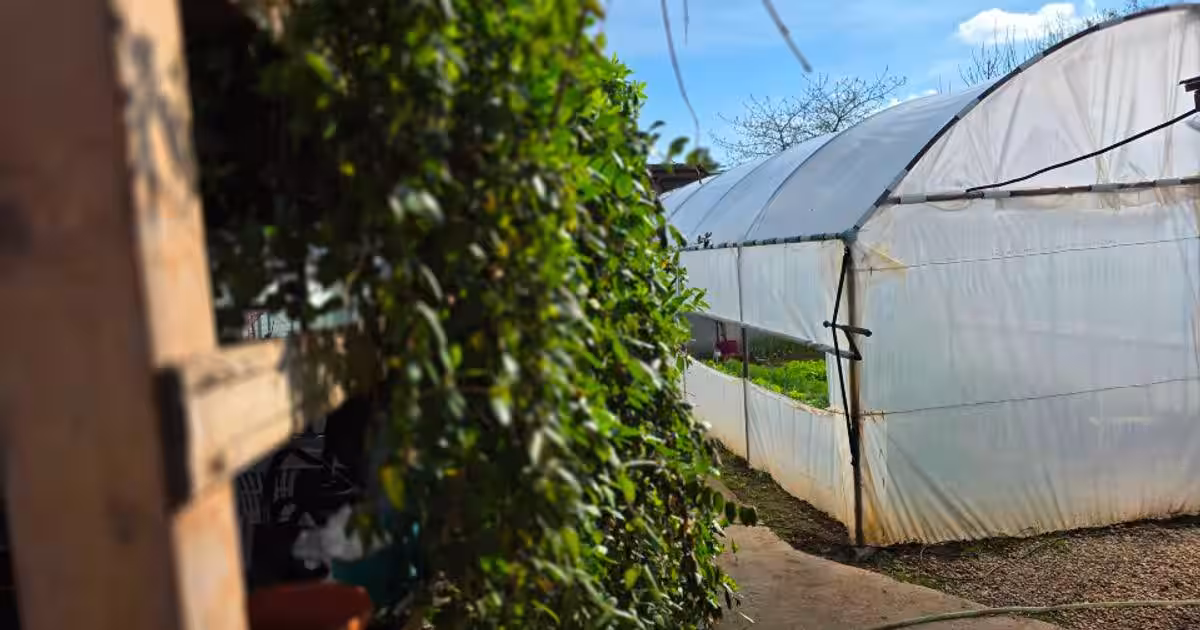 Casă individuală 120 mp cu 4 camere în Corabia