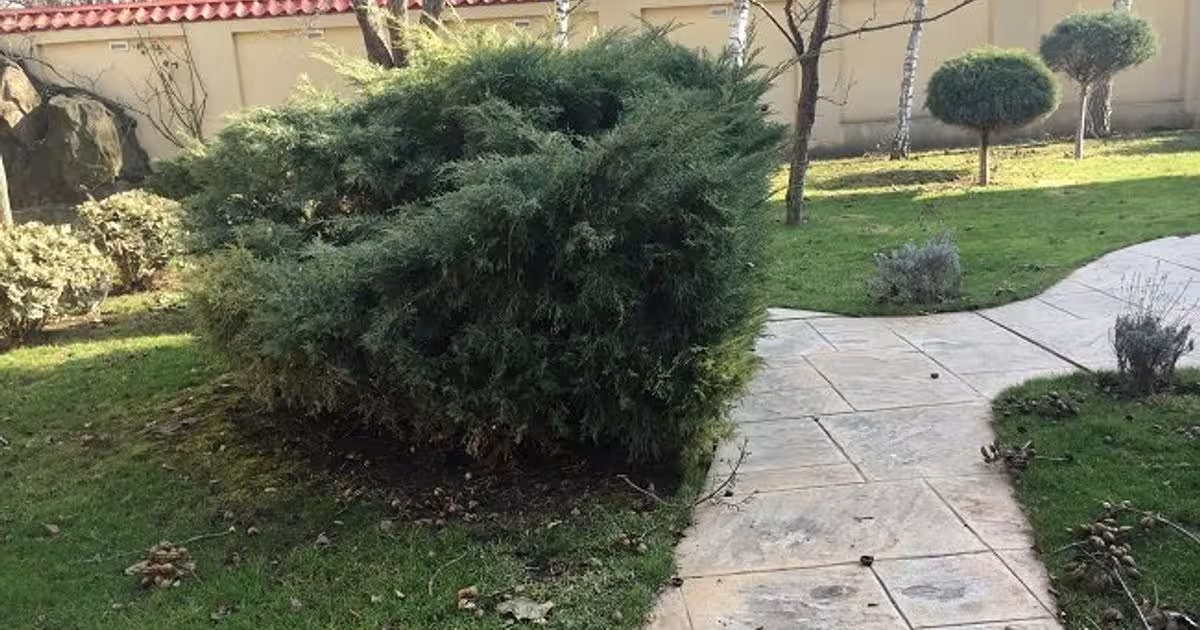 Casă individuală 285 mp cu 6 camere în zona Central, Focșani
