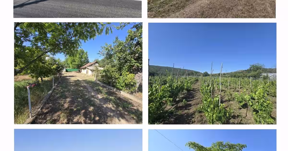 Casa ta de la țară te așteaptă, cu aer curat și povești nescrise