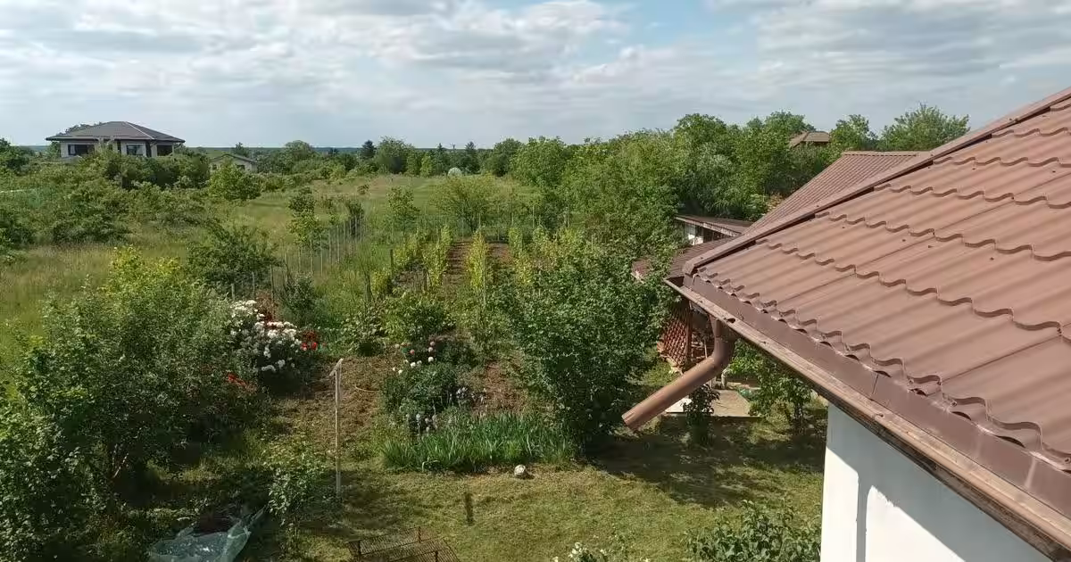 Casă individuală 112 mp cu 3 camere în Moara Vlăsiei