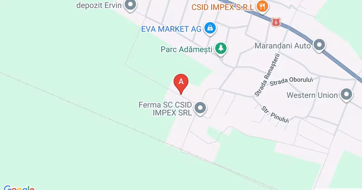 Casă individuală 24 mp cu 1 camere în Nanov