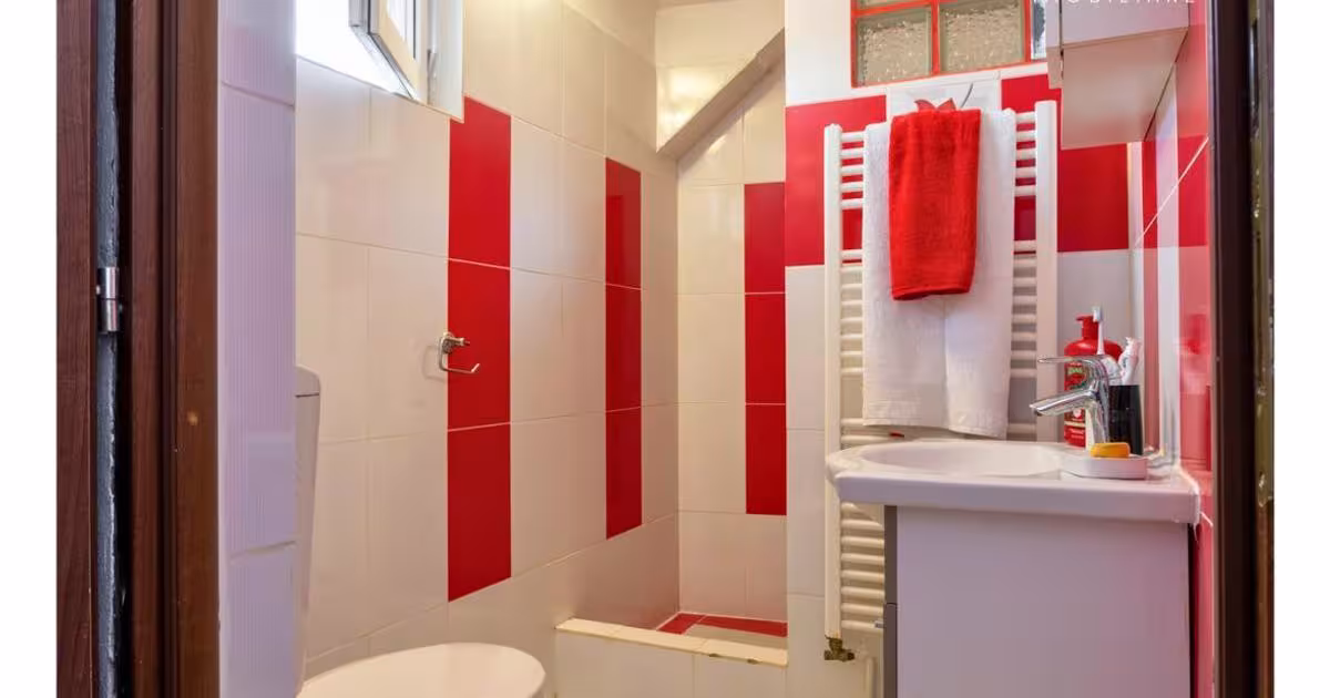 Casă individuală 594 mp cu 16 camere în Nemșa