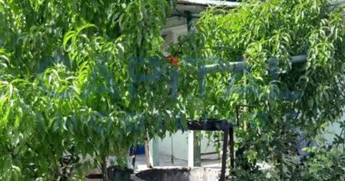 Casă individuală 90 mp cu 2 camere în Ozd