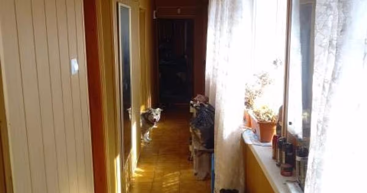 Casă individuală 140 mp cu 4 camere în Plopșoru