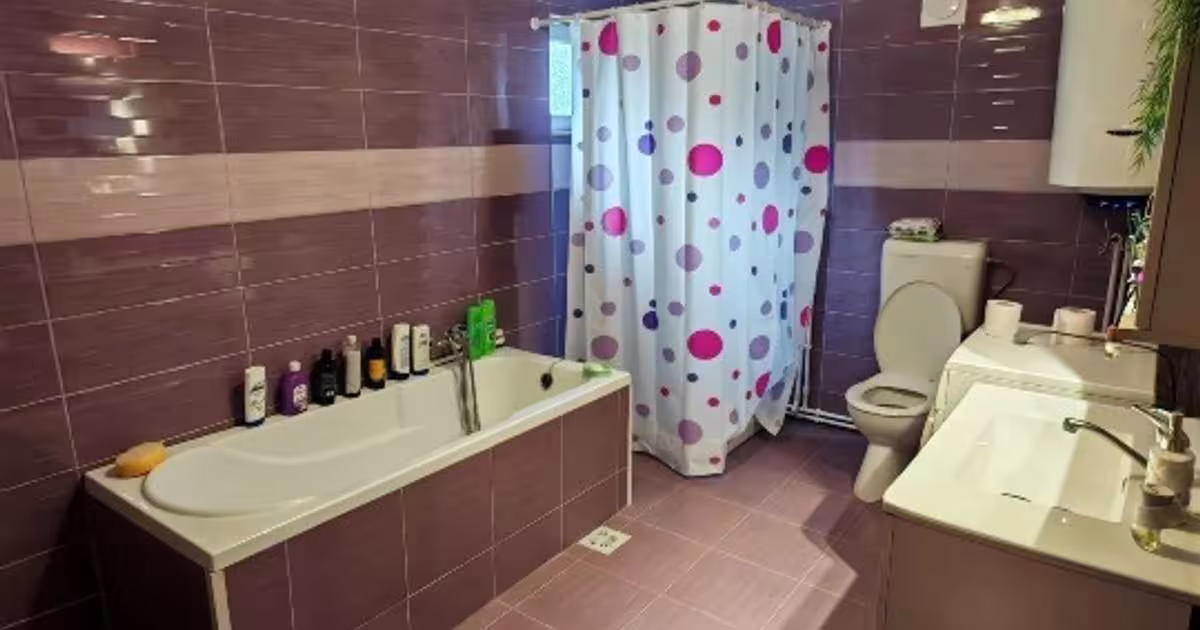Casă individuală 100 mp cu 4 camere în Rapoltu Mare