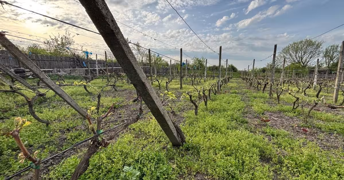 Casă individuală 90 mp cu 3 camere în Rogova