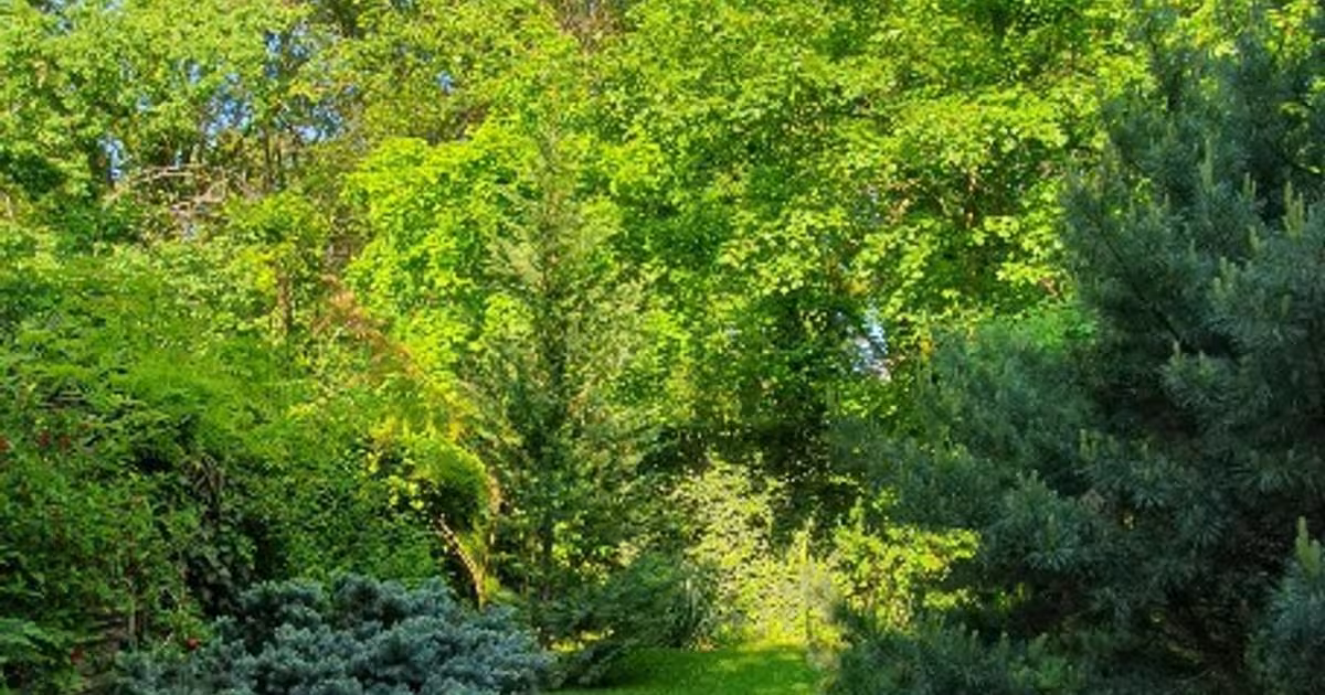Casă individuală 125 mp cu 4 camere în zona Băneasa, Sector 1