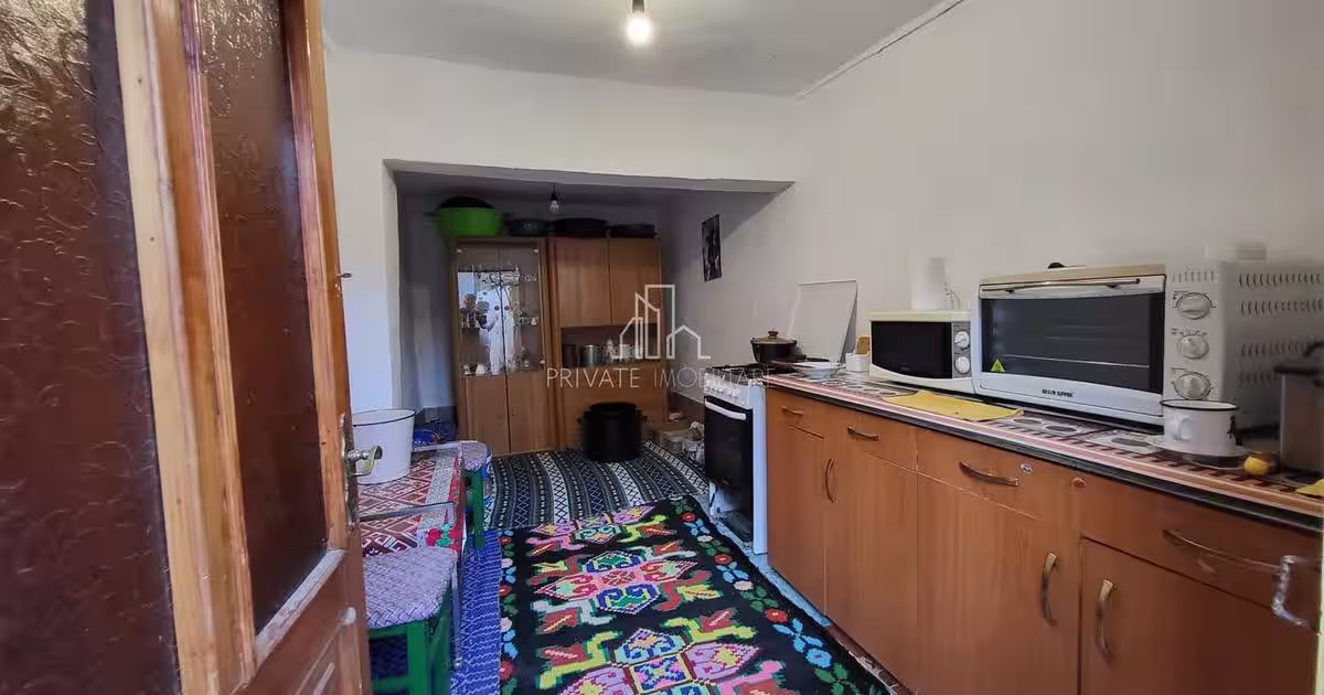 Casă individuală 204 mp cu 4 camere în Seleuș (Daneș)