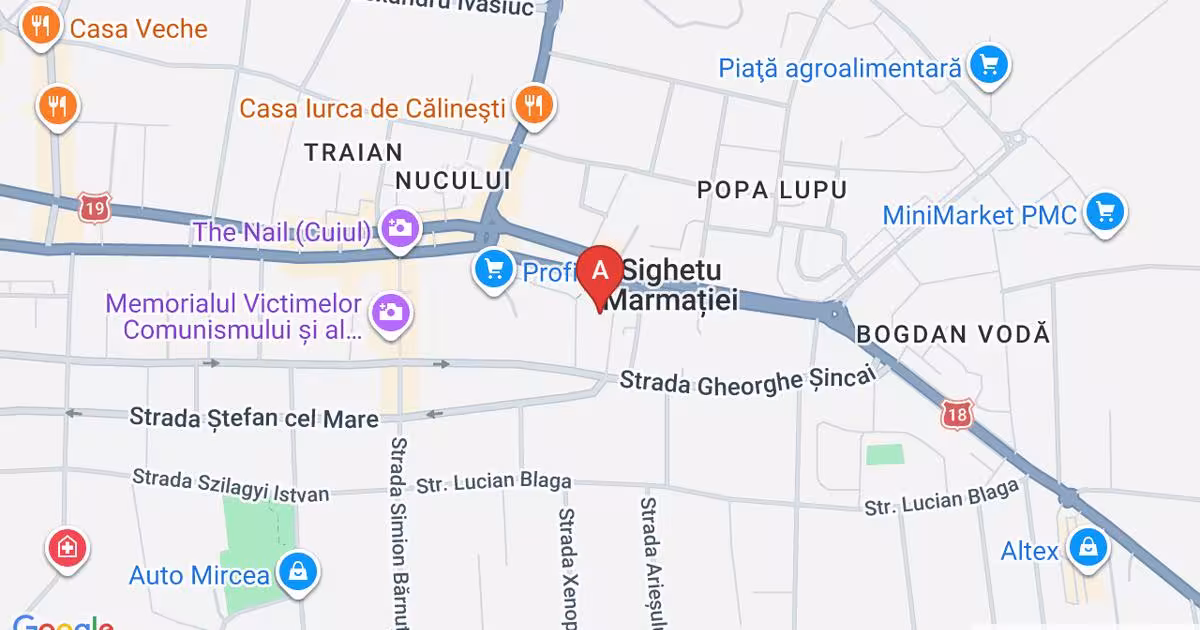 Casă individuală 150 mp cu 4 camere în zona Ultracentral, Sighetu Marmației