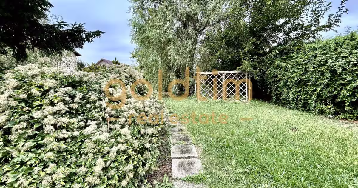 VILA 5 CAMERE CU PISCINA/TEREN 2650MP/CASA PERSONAL/GARAJ/SNAGOV-CIOFLICENI/
