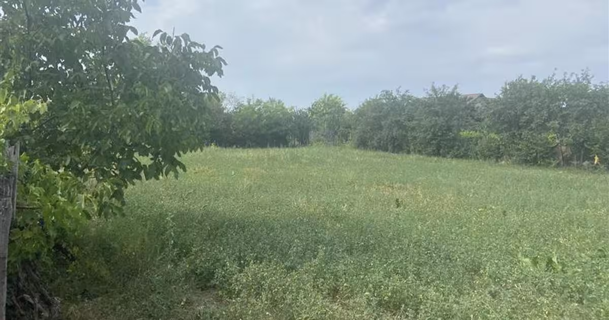 Casă individuală cu 3 camere în Suraia