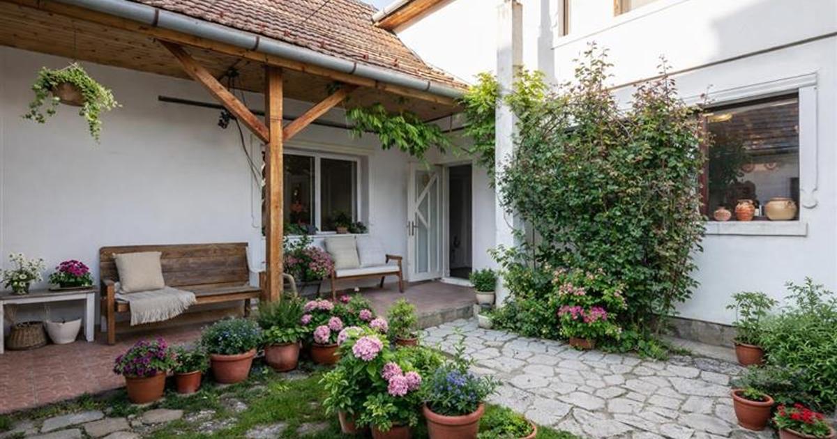FILM! Casa primitoare in centrul orasului Targu Secuiesc