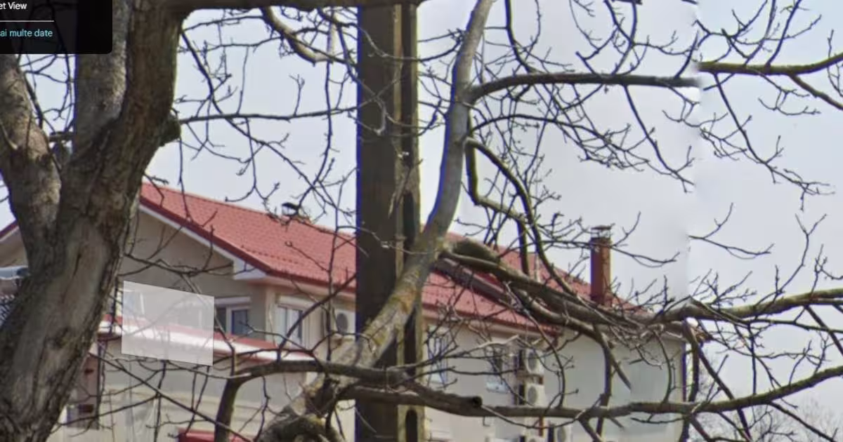 Casă individuală 600 mp cu 7 camere în Urzicuța