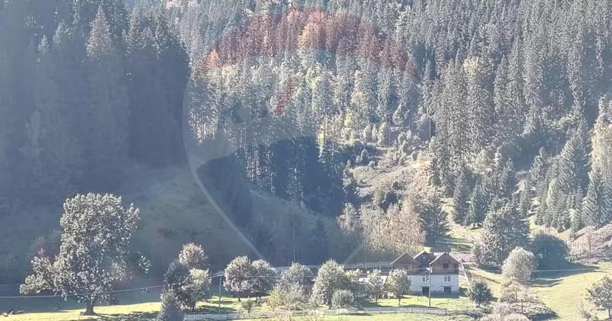Casă individuală cu 2 camere în zona Periferie, Vatra Dornei