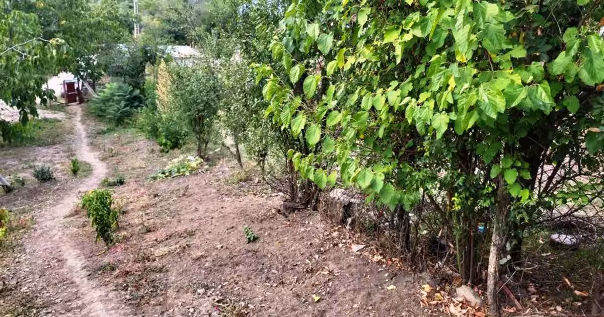 Casă individuală cu 3 camere în Zărnești