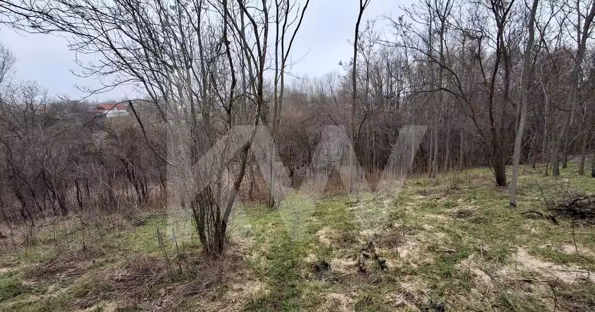 Casa Duplex Malu Mare cu teren generos - PREȚ PROMOȚIONAL