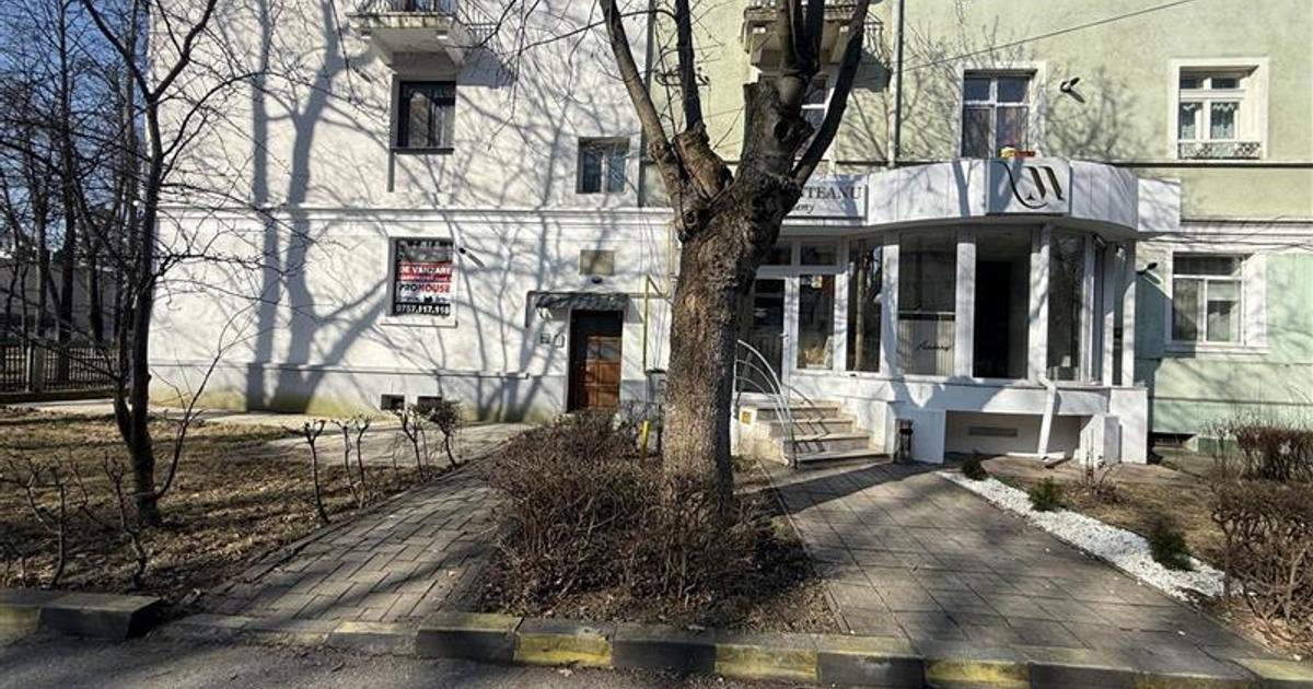 Garsonieră ultracentrală, renovată, vedere parc – Parcul Cancicov