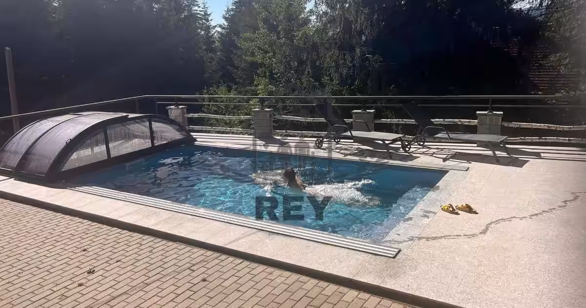 Hotel/Pensiune în Păltiniș
