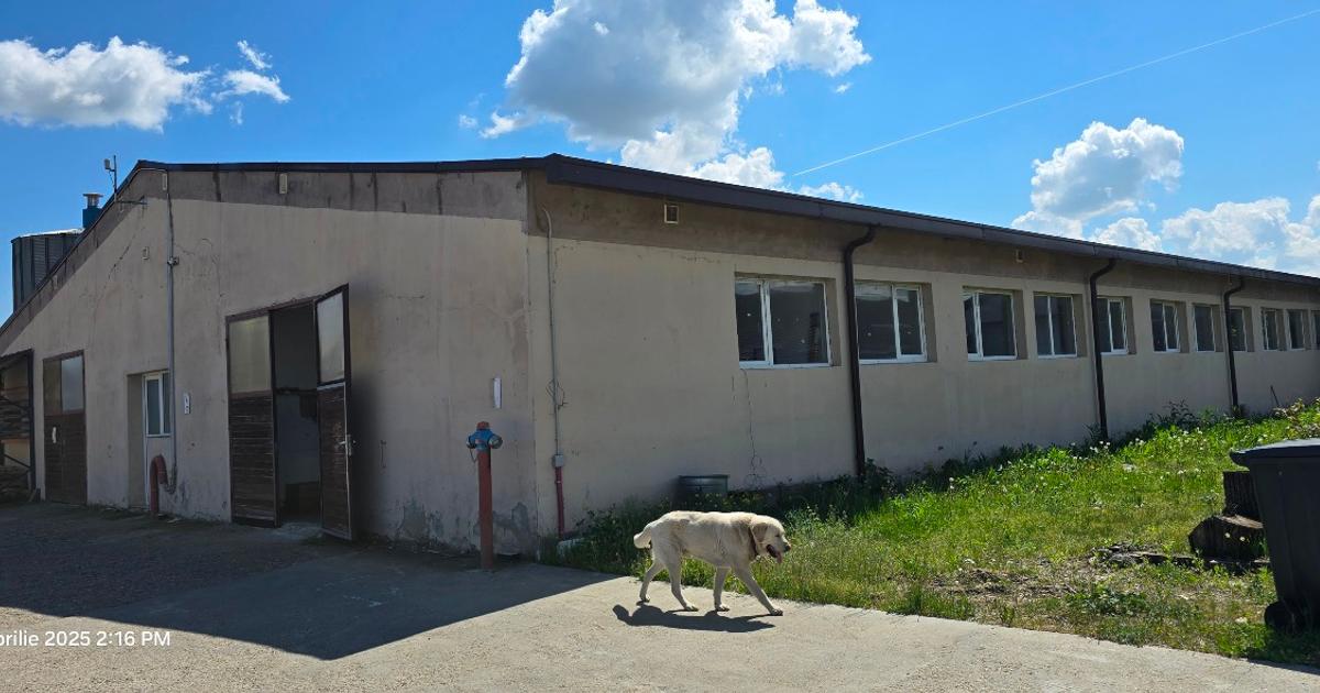 Proprietate imobiliara, Com. Farcasa, jud. Maramures