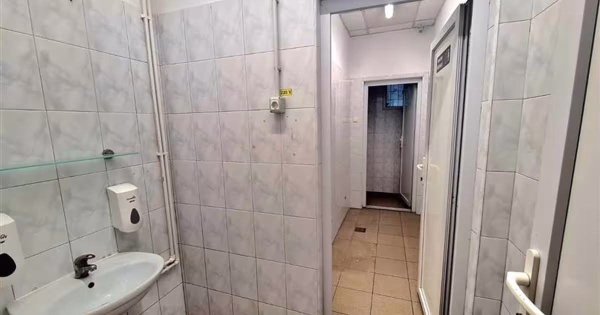 Spațiu comercial în zona Central, Timișoara