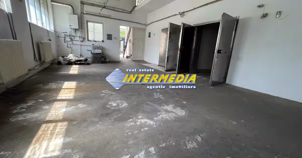 Spațiu industrial în zona Ampoi 1, Alba Iulia