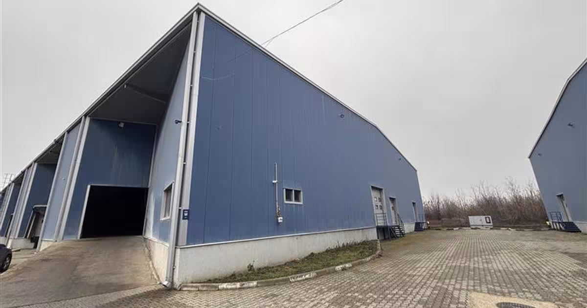 Spațiu industrial în Chiajna