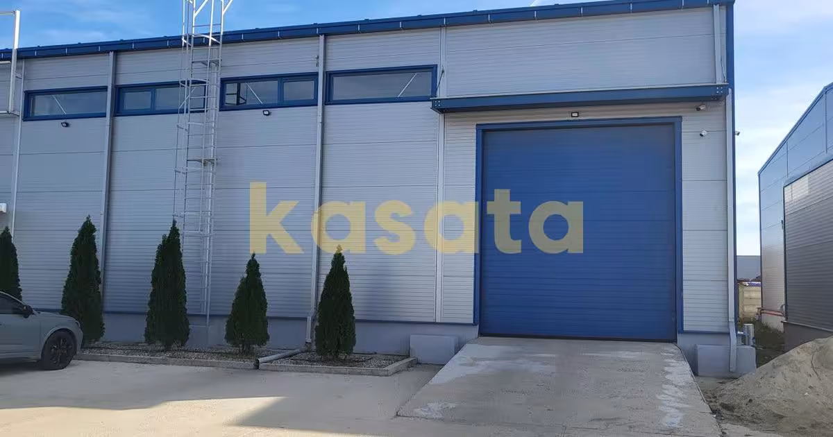 Spațiu industrial în Chiajna