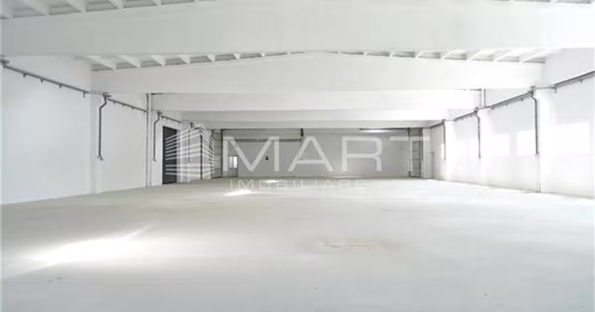 Spațiu industrial 1000 mp în zona Central, Cisnădie