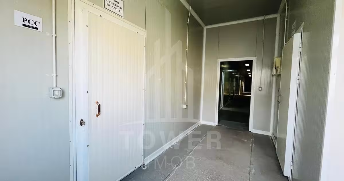 Spațiu industrial în Cristian